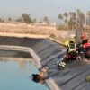 Los bomberos rescatan a dos perros que habían caído a una balsa