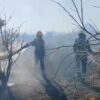 Incendio en un campo de cultivos cerca de Elche Parque Empresarial