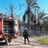 Bomberos de Elche y Crevillent participan en la extinción de un incendio de palmeras en San Isidro
