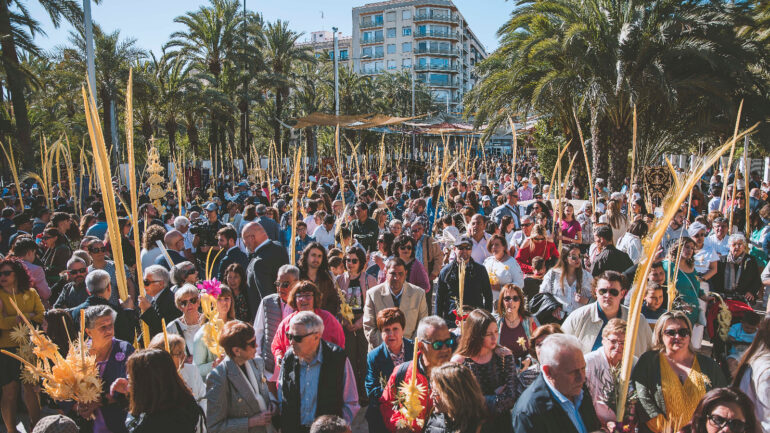 El Ayuntamiento y la EUIPO trabajan para conseguir el distintivo de indicación geográfica protegida para la palma blanca