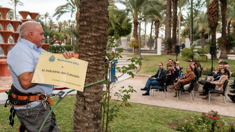 Elche celebra el 23 aniversario de la declaración del Palmeral como Patrimonio de la Humanidad