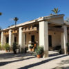 Nuevas visitas guiadas a los huertos de palmeras
