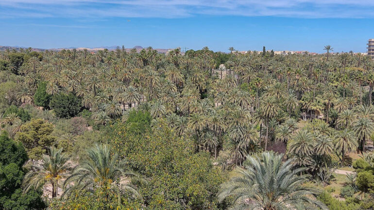 Volem Palmerar preguntará en la Junta Gestora del Patronato por la gestión del Patrimonio de la Humanidad