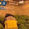 La Policía Nacional detiene a cuatro personas y desmantela un punto negro de venta de droga en Elche