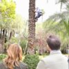Se dedicará una palmera a Badalona durante la visita a Elche de su alcalde, Xavier García Albiol