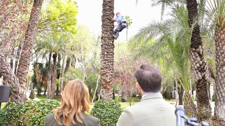 Se dedicará una palmera a Badalona durante la visita a Elche de su alcalde, Xavier García Albiol