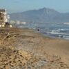 La playa de Arenales del Sol aparece inundada de velellas
