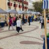 Comienza la venta de palma blanca para el Domingo de Ramos