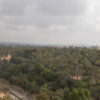 Ver Elche desde las alturas en un globo ya es posible