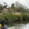 Se intensifica la campaña de fumigación para evitar plagas de mosquitos