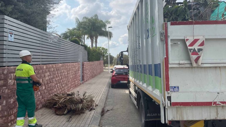 UTE Elche duplica la recogida de poda con el servicio puerta a puerta