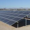 Amigos de los Humedales recurre la instalación de planta fotovoltaica junto al Clot de Galvany