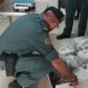 Santa Pola. Intervienen 250 kilos de pescado comercializado de forma ilegal