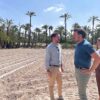 Plantan 24.000 tagetes para la Batalla de Flores