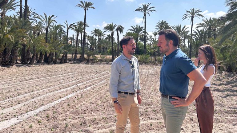 Plantan 24.000 tagetes para la Batalla de Flores