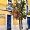 Crevillent. Subvenciones para impulsar la música, el teatro y otras actividades culturales