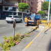 También plantan árboles en el primer tramo de la calle Blasco Ibáñez
