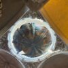 Ya se ha izado el cielo del Misteri d’Elx en la basílica de Santa María