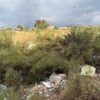 El PSOE denuncia que en Carrús llevan meses esperando a que el Ayuntamiento «desbroce e ilumine» una zona del barrio