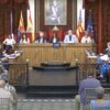 El pleno aprueba solicitar al gobierno el refuerzo de medidas hacia los delincuentes reincidentes y más medios policiales para Carrús