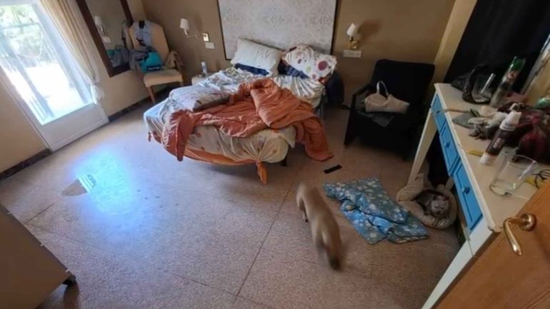 El fallecimiento de un hombre con parálisis cerebral destapa una actividad ilegal de cuidados a personas dependientes