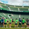 El Elche C.F. visita a un Osasuna intratable como local