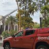 Se rompe la rama de un elevado árbol de la Glorieta y tienen que intervenir los bomberos