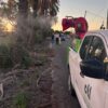 Intensifican la fumigación para acabar con los mosquitos tras las últimas lluvias