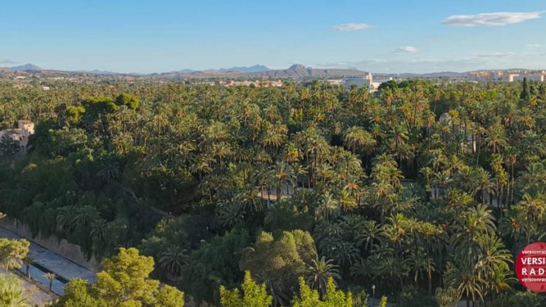 Celebración del XXV aniversario del Palmeral de Elche como Patrimonio de la Humanidad