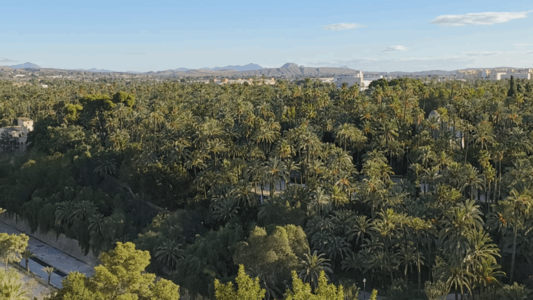 Numerosas intervenciones de los bomberos por culpa del viento