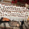 Concierto de Navidad de la Capella, el Coro Juvenil y la Escolanía del Misteri d’Elx