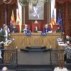 Pleno del Ayuntamiento de Elche: presupuesto, Miguel Serna, accidentes ferroviarios, agricultura, “Marlonda”…