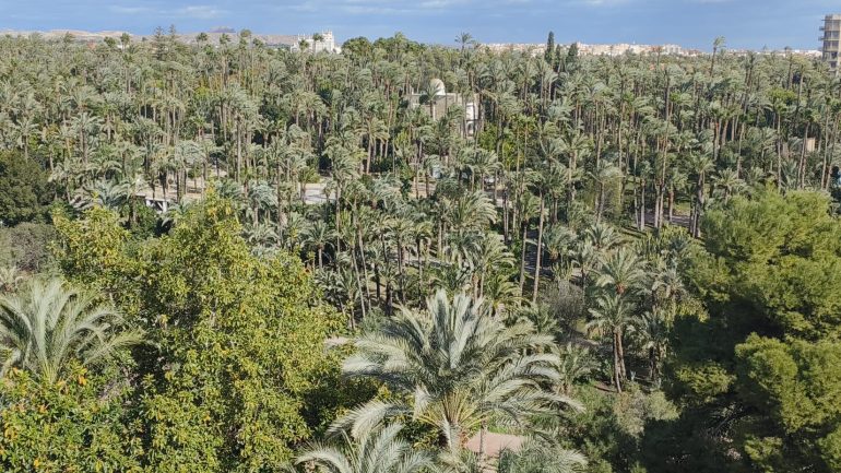 Actuaciones de bomberos por el viento en un nuevo día con nivel amarillo