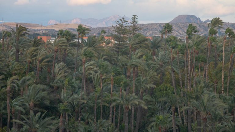 De nuevo pendientes del tiempo por la alerta naranja por fuertes vientos para este sábado