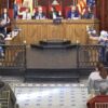 El pleno extraordinario de sanidad acaba con gritos de “Vinalopó reversió”
