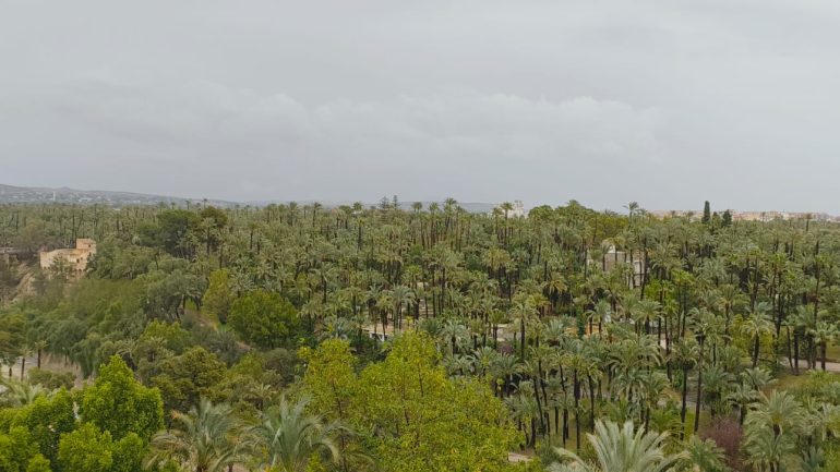 Se han recogido más de 70 litros de agua en algunas zonas de Elche