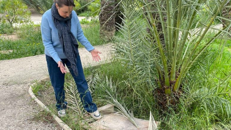 El PSOE denuncia el “abandono” del Huerto de Montenegro