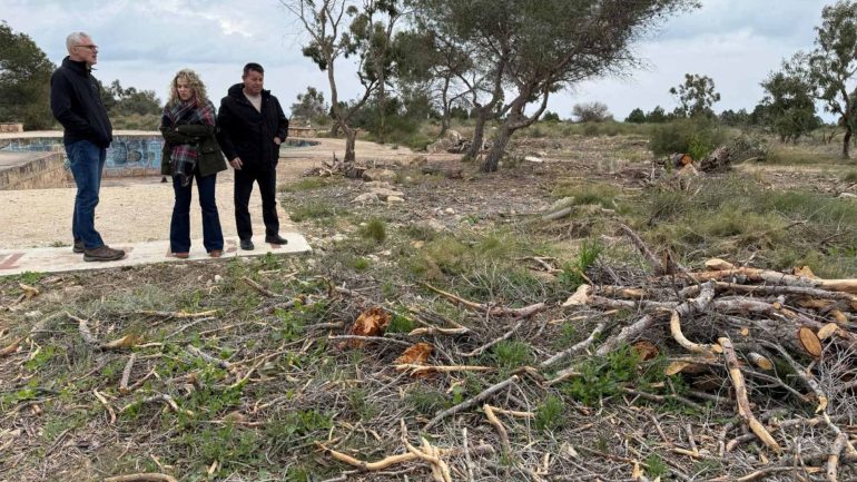 Santa Pola. La Conselleria de Medio Ambiente tala y tritura pinos muertos de la Sierra