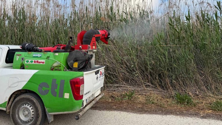 Plan de lucha contra los mosquitos