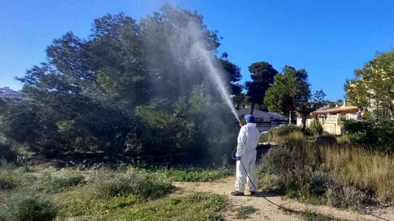 Santa Pola. Actuaciones para la gestión integral de las plagas