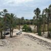 Obras en el Hort del Gat para convertirlo en el gran huerto histórico visitable de Elche