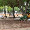 Renovación del parque 9 de Octubre