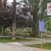 El Ayuntamiento de Elche trabaja en una ordenanza de convivencia en el espacio público con la que ya cuentan Santa Pola y Crevillent