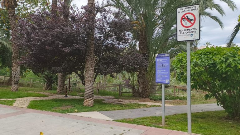 El Ayuntamiento de Elche trabaja en una ordenanza de convivencia en el espacio público con la que ya cuentan Santa Pola y Crevillent