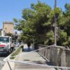 Retiran un gran pino de la ladera el río ante el peligro de caída
