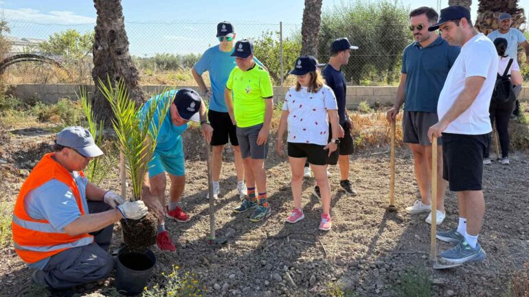 Asociaciones de personas con discapacidad colaboran en el replantado de palmeras en el Huerto del Bosquet