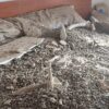 Desalojan una vivienda de San Antón tras el desprendimiento parcial de un techo por acumulación de excrementos de aves