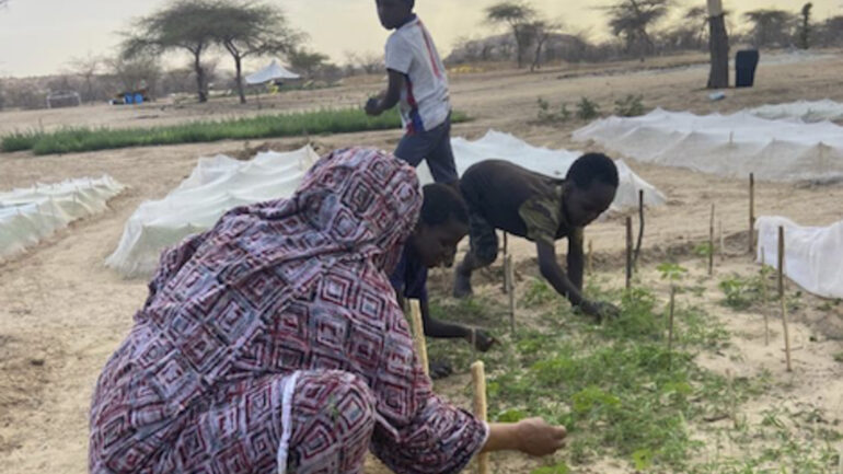 La ayuda de la Asociación MIMS desde Elche para Tintane en Mauritania