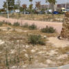 El PSOE reclama una actuación urgente en el cementerio viejo y en el Jardín de las Víctimas del COVID