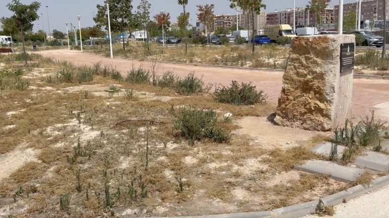 El PSOE reclama una actuación urgente en el cementerio viejo y en el Jardín de las Víctimas del COVID